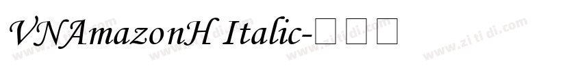 VNAmazonH Italic字体转换